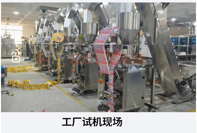 小袋洗衣粉自动包装机工厂试机现场
